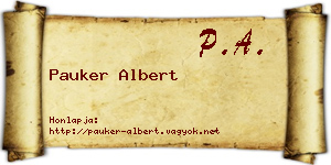 Pauker Albert névjegykártya